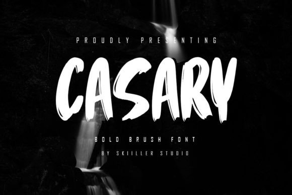 Casary: A Stylish Font for Your Brand