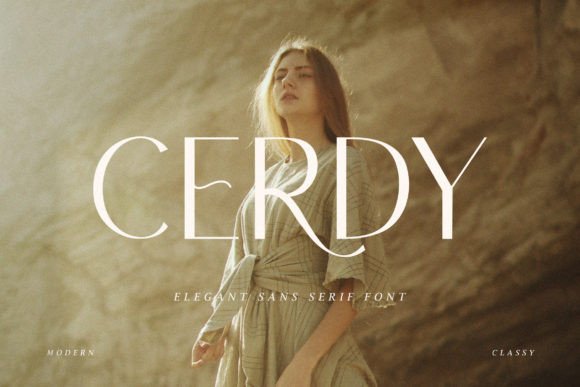 Cerdy: A Modern Font for Business Success