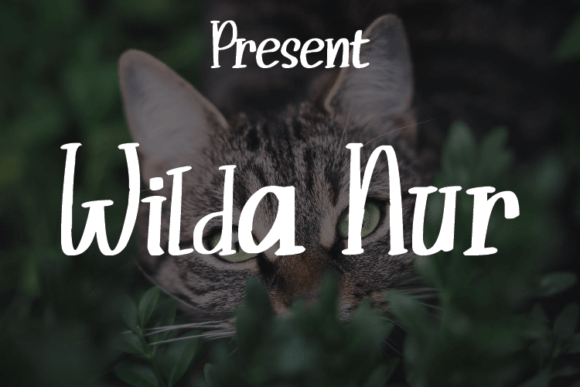 Wilda Nur: A Script Typeface for Modern Marketing